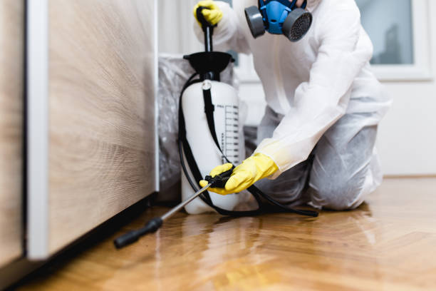 Best Exterminator Services  in Clifton Knolls Mill Creek, NY