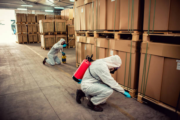 Professional Pest Control in Clifton Knolls Mill Creek, NY