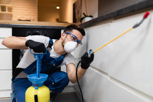 Best Flea Control Services  in Clifton Knolls Mill Creek, NY