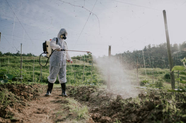 Best Commercial Pest Control Services  in Clifton Knolls Mill Creek, NY