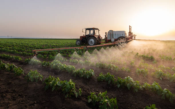 Best Pest Control Near Me  in Clifton Knolls Mill Creek, NY