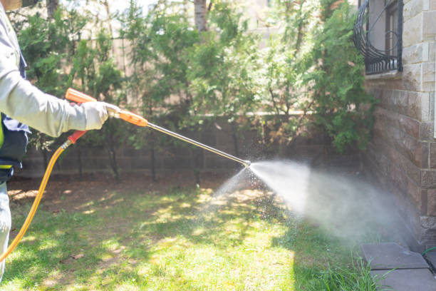 Best Mosquito Control Services  in Clifton Knolls Mill Creek, NY