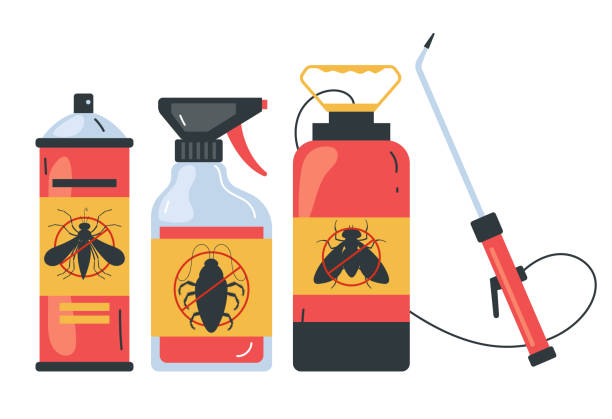Best Affordable Pest Control Services  in Clifton Knolls Mill Creek, NY
