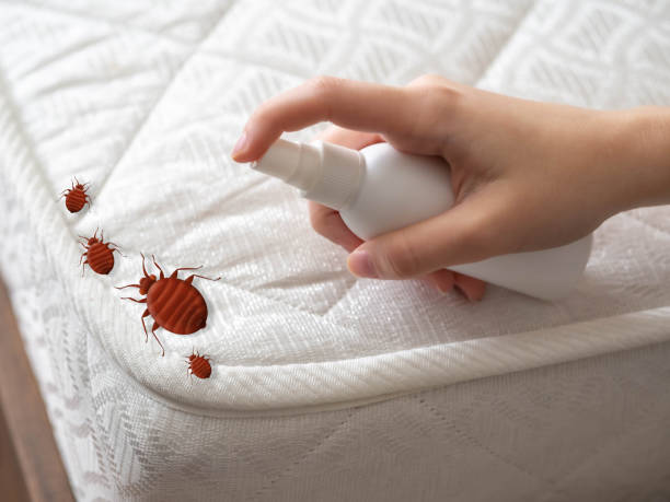  Clifton Knolls Mill Creek, NY Pest Control Pros
